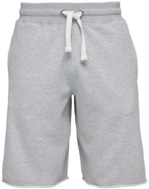 Russell Athletic SHORTS Pánske šortky, sivá, veľkosť