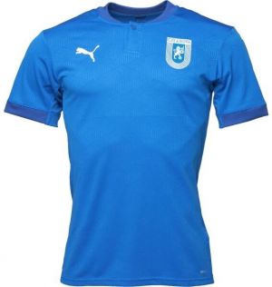 Puma TEAMFINAL 21 GRAPHIC JERSEY Pánske športové tričko, modrá, veľkosť XXL