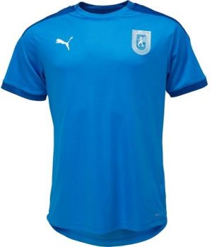 Puma TEAM FINAL 21 TRAINING JERSEY Pánske športové tričko, modrá, veľkosť