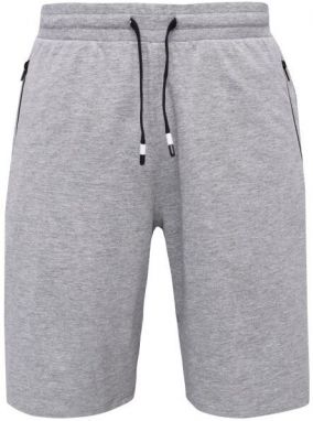 Willard TOLMAN Pánske kraťasy, sivá, veľkosť XXL