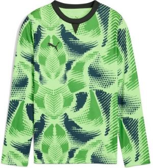 Puma TEAMTARGET GL LS JERSEY JR Detský brankársky dres, zelená, veľkosť