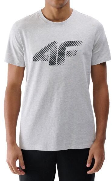 4F TSHIRT Pánske tričko, sivá, veľkosť