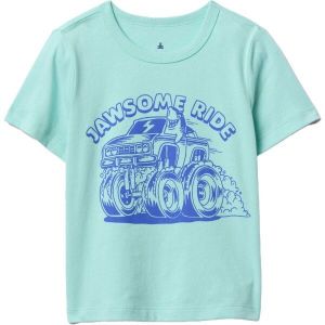 GAP GRAPHIC Chlapčenské tričko, svetlo zelená, veľkosť 4Y