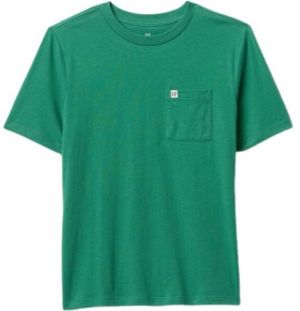 GAP FRCH ORIGINAL LOGO Chlapčenské tričko, zelená, veľkosť