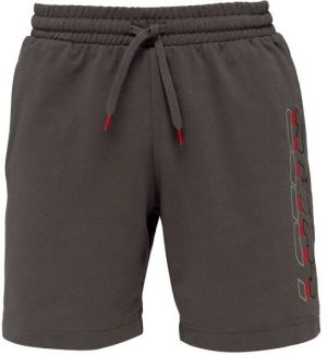 Lotto LOGO UNO SHORTS Pánske šortky, tmavo sivá, veľkosť