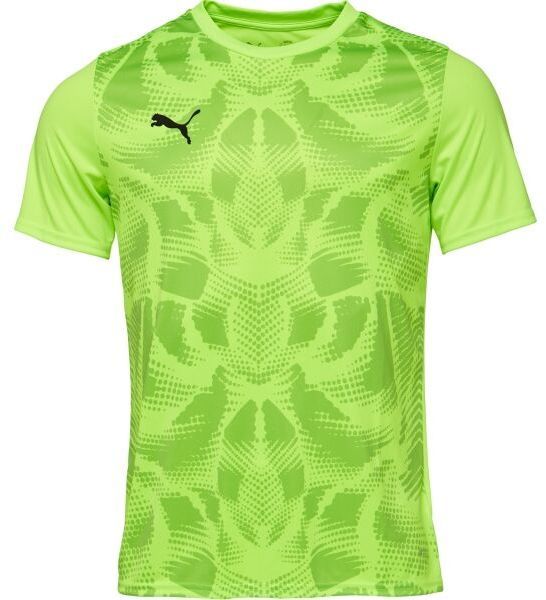 Puma TEAMGLORY JERSEY Pánske futbalové tričko, zelená, veľkosť