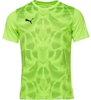 Puma TEAMGLORY JERSEY Pánske futbalové tričko, zelená, veľkosť