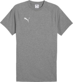Puma TEAMEVOSTRIPE TEE Pánske tričko, sivá, veľkosť