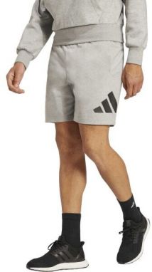 adidas BIG LOGO SHORTS Pánske kraťasy, sivá, veľkosť