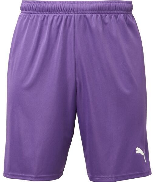 Puma TEAMGOAL SHORTS Pánske futbalové šortky, fialová, veľkosť