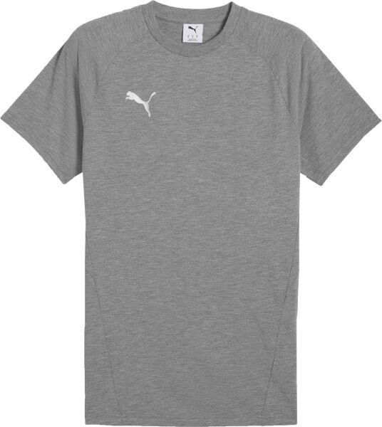 Puma TEAMEVOSTRIPE TEE Pánske tričko, sivá, veľkosť