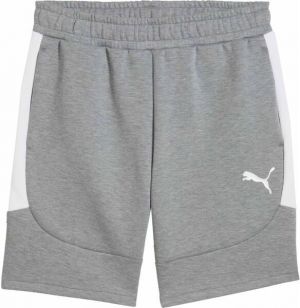 Puma TEAMEVOSTRIPE SHORTS Pánske šortky, sivá, veľkosť