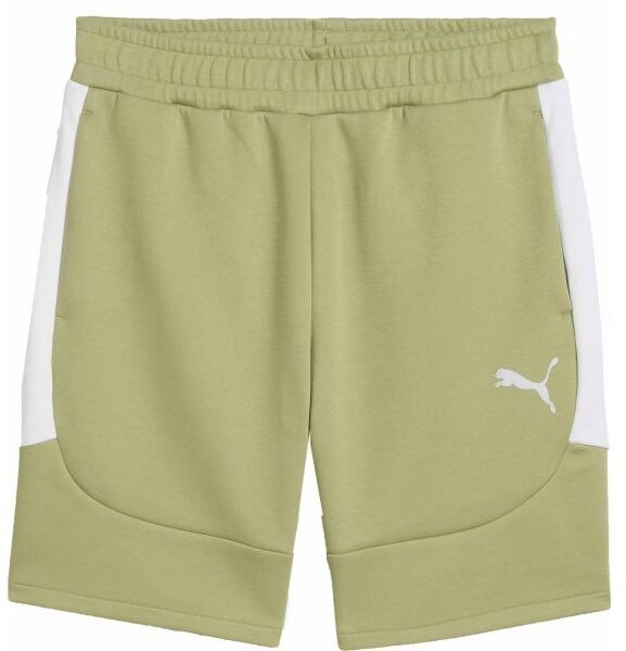 Puma TEAMEVOSTRIPE SHORTS Pánske šortky, khaki, veľkosť
