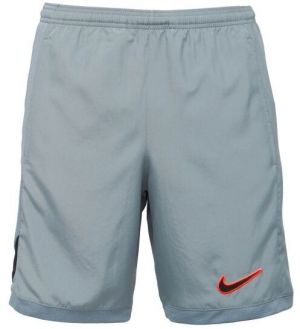 Nike ACADEMY Pánske futbalové šortky, sivá, veľkosť