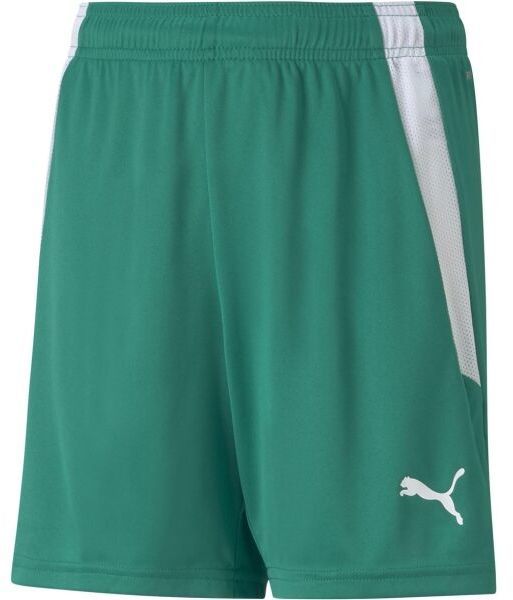 Puma TEAMLIGA SHORTS JR Juniorské šortky, zelená, veľkosť