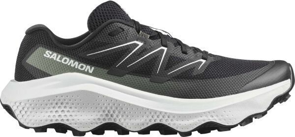 Salomon ULTRA FLOW 2 Pánska obuv na trailový beh, čierna, veľkosť 42