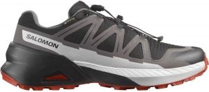 Salomon SPEEDCROSS PEAK GTX Pánska obuv na trailový beh, čierna, veľkosť 40 2/3