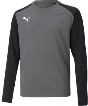 Puma TEAMGLORY JERSEY Pánske futbalové tričko, sivá, veľkosť