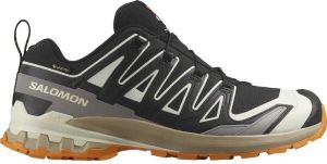 Salomon XA PRO 3D V9 GTX Pánska obuv na trailový beh, čierna, veľkosť 46