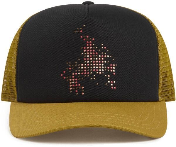 Vans SKATE FLAME TRUCKER Pánska šiltovka, čierna, veľkosť