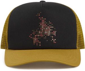 Vans SKATE FLAME TRUCKER Pánska šiltovka, čierna, veľkosť