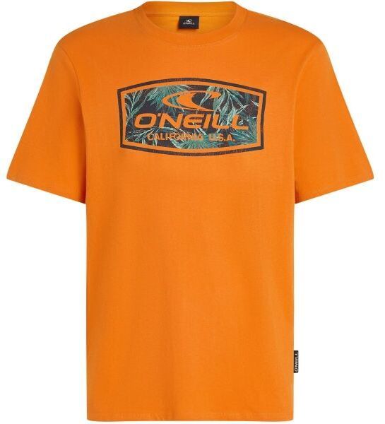 O'Neill GRAPHIC Pánske tričko, oranžová, veľkosť