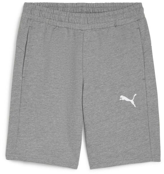Puma TEAMGOAL CASUALS SHORTS Pánske krátke nohavice, sivá, veľkosť
