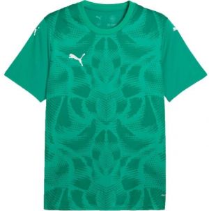 Puma TEAMGLORY JERSEY Pánske futbalové tričko, zelená, veľkosť