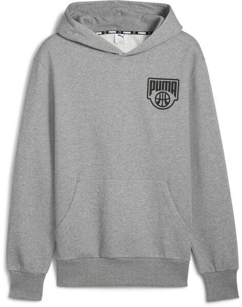 Puma POSTERIZE HOODIE Pánska mikina, sivá, veľkosť