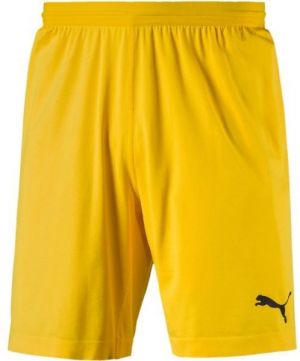 Puma FINAL evoKNIT GK Shorts Pánske brankárske trenky, žltá, veľkosť