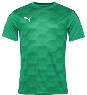 Puma TEAMFINAL 21 GRAPHIC JERSEY Pánske športové tričko, zelená, veľkosť
