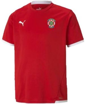 Puma TEAM LIGA JERSEY JR Juniosrské futbalové tričko, červená, veľkosť