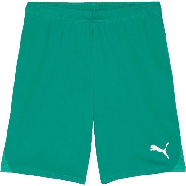 Puma TEAMGOAL SHORTS Pánske futbalové šortky, zelená, veľkosť