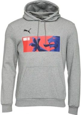 Puma TEAMGOAL 23 CAUSALS HOODY Pánska futbalová mikina, sivá, veľkosť