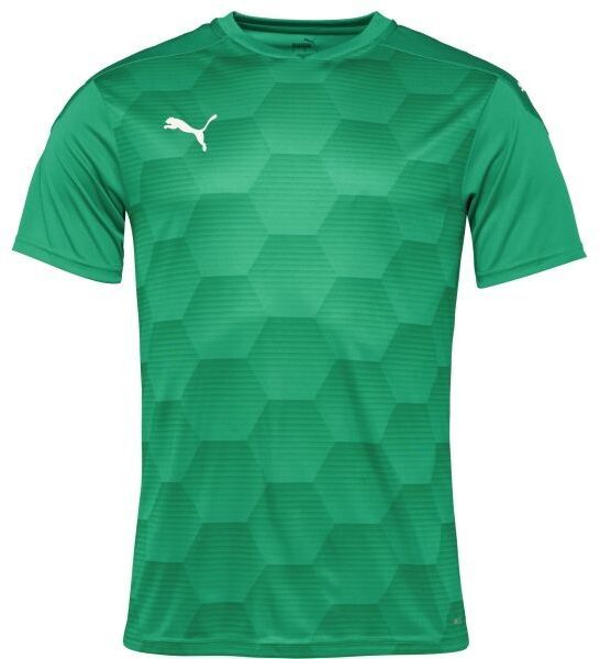 Puma TEAMFINAL 21 GRAPHIC JERSEY Pánske športové tričko, zelená, veľkosť