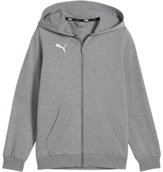 Puma TEAMGOAL CASUALS HOODED JACKET Chlapčenská mikina, sivá, veľkosť