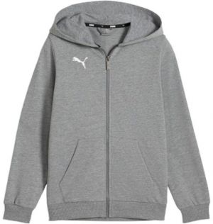 Puma TEAMGOAL CASUALS HOODED JACKET Chlapčenská mikina, sivá, veľkosť
