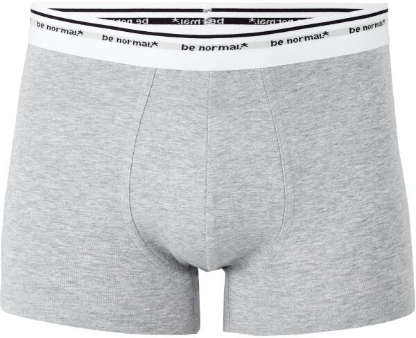 CELIO BINORMAL1 Pánska spodná bielizeň, sivá, veľkosť