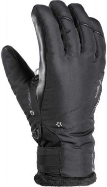 Leki SNOWBIRD 3D GTX W Dámske zjazdové rukavice, čierna, veľkosť