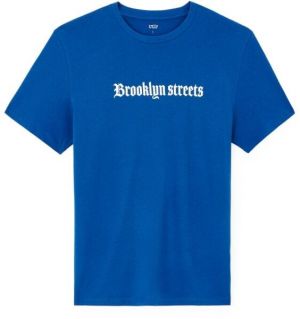 CELIO JEDARK Pánske tričko, modrá, veľkosť