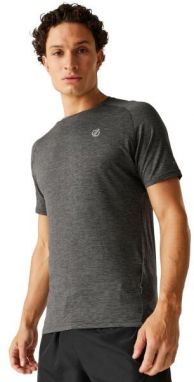 Dare2b PERSIST Pánske funkčné tričko, sivá, veľkosť