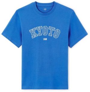 CELIO JEOVERDU Pánske tričko, modrá, veľkosť