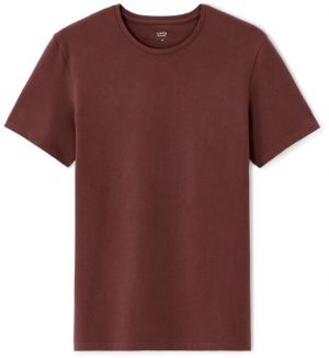 CELIO NEUNIR Pánske tričko, vínová, veľkosť