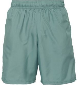 Under Armour WOVEN WORDMARK Pánske krátke nohavice, svetlo zelená, veľkosť S