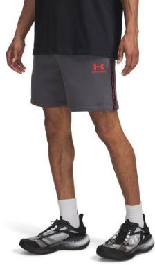 Under Armour ICON FLEECE SHORTS Pánske šortky, tmavo sivá, veľkosť L