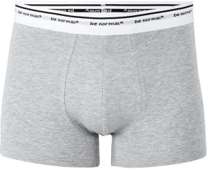 CELIO BINORMAL1 Pánska spodná bielizeň, sivá, veľkosť