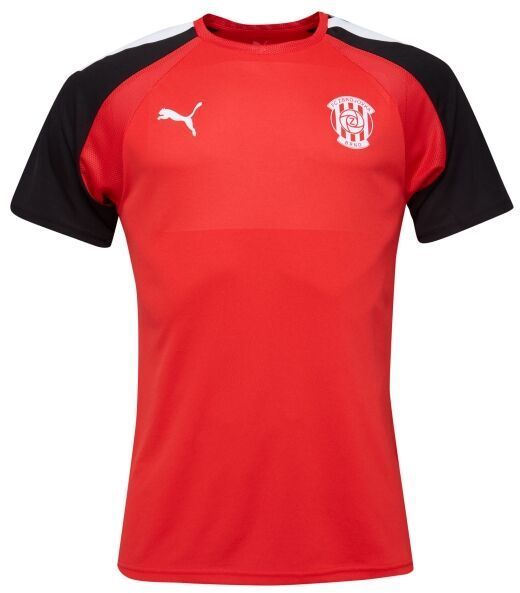 Puma TEAMGLORY JERSEY Pánske futbalové tričko, červená, veľkosť