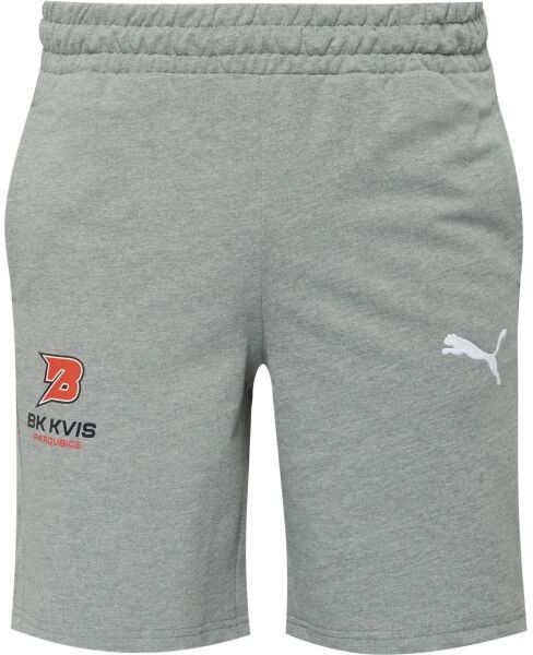 Puma TEAMGOAL CASUALS SHORTS Pánske krátke nohavice, sivá, veľkosť
