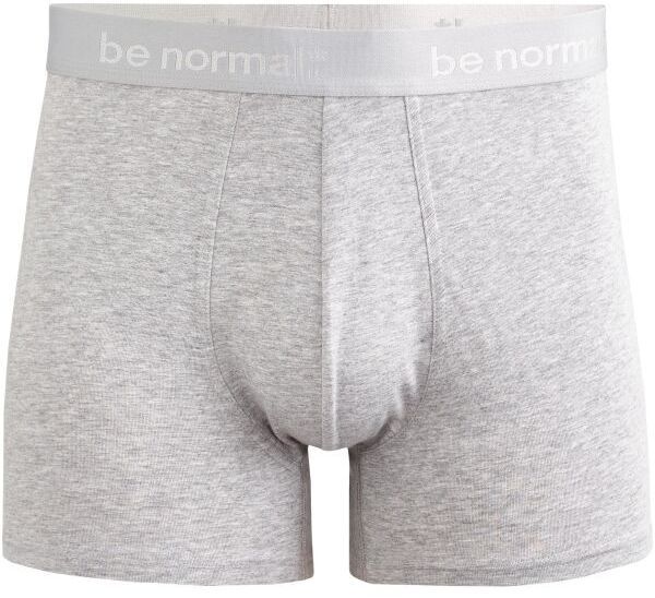 CELIO BINORMAL Pánska spodná bielizeň, sivá, veľkosť