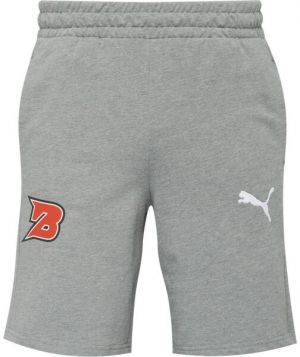 Puma TEAMGOAL CASUALS SHORTS Pánske krátke nohavice, sivá, veľkosť